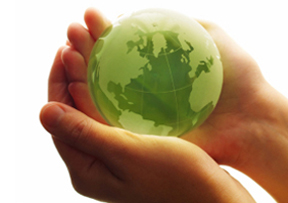 Let our knowledge and experience help your organization manage its resources effectively!