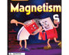 Magnetism Experiment Kit